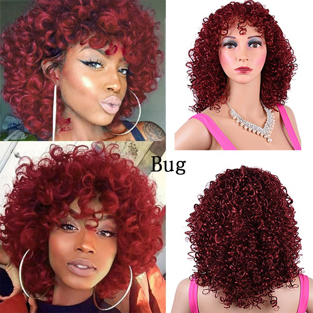 Synthetic Afro Curly Wig African Wigs For Black Women touchydesign