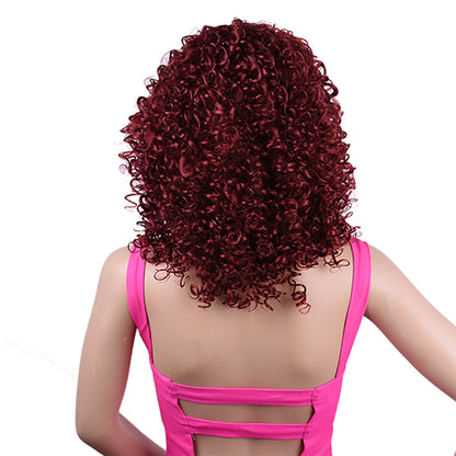 Synthetic Afro Curly Wig African Wigs For Black Women touchydesign