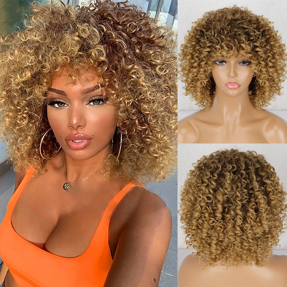 Synthetic Afro Curly Wig African Wigs For Black Women touchydesign