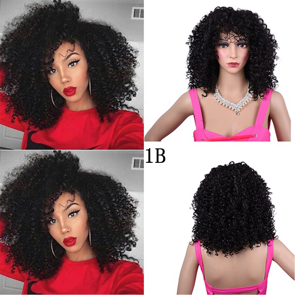 Synthetic Afro Curly Wig African Wigs For Black Women touchydesign