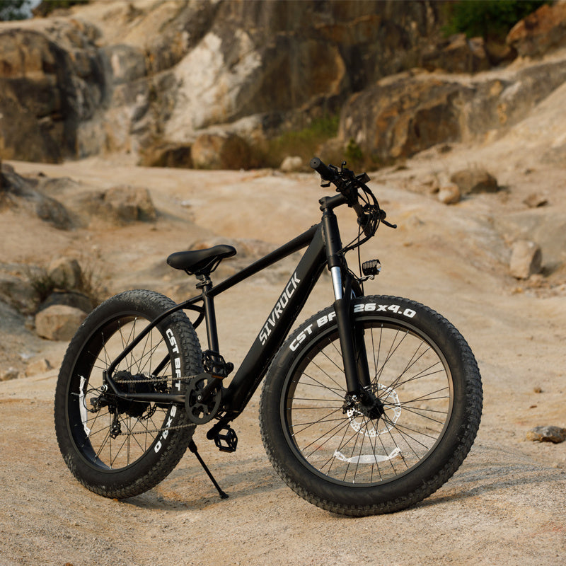 "Professional electric bike for adults with 26x4.0 inch fat tires, 1000W motor, 48V 15Ah battery. Ideal for trail riding, excursions, and commuting. UL and GCC certified."